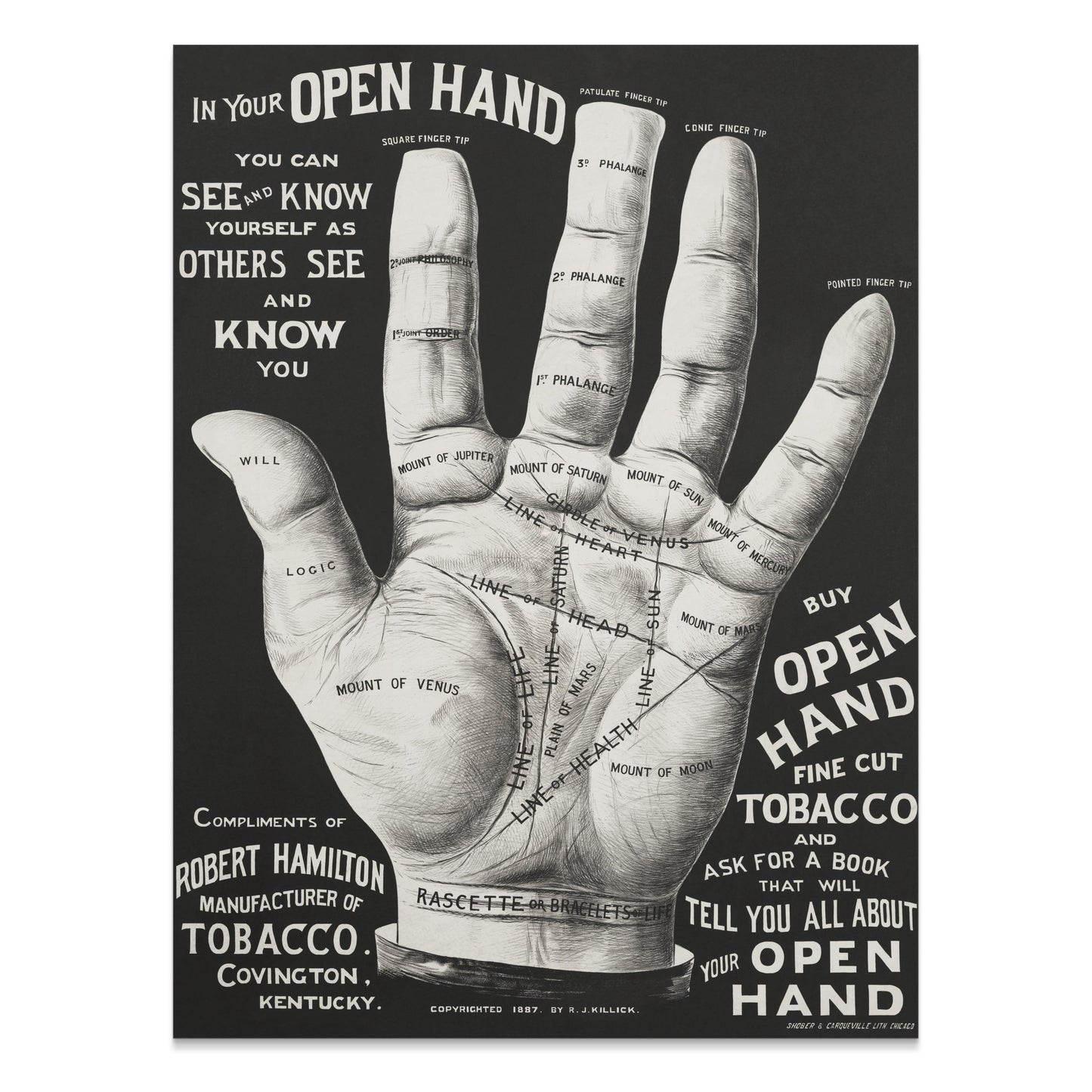 Premium Poster of Open Hand Diagram with Palm Reading Guide Posters