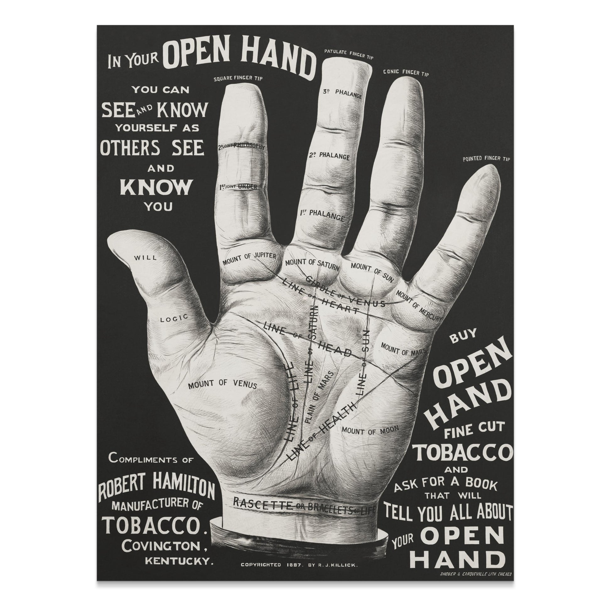 Premium Poster of Open Hand Diagram with Palm Reading Guide Posters