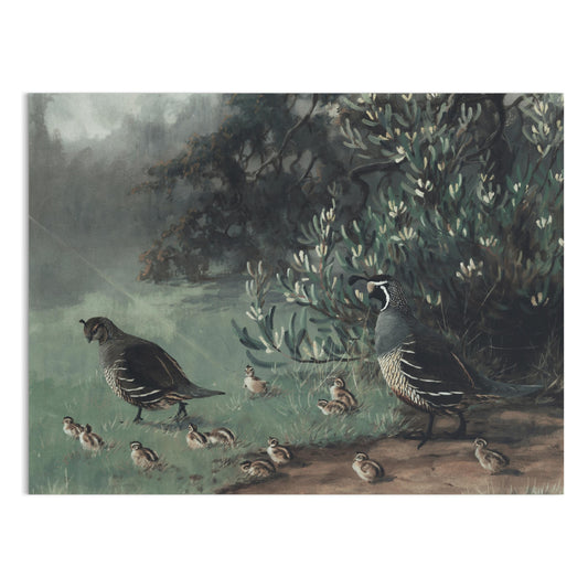 Premium Poster of Painting of Quails and Chicks in Natural Habitat Posters