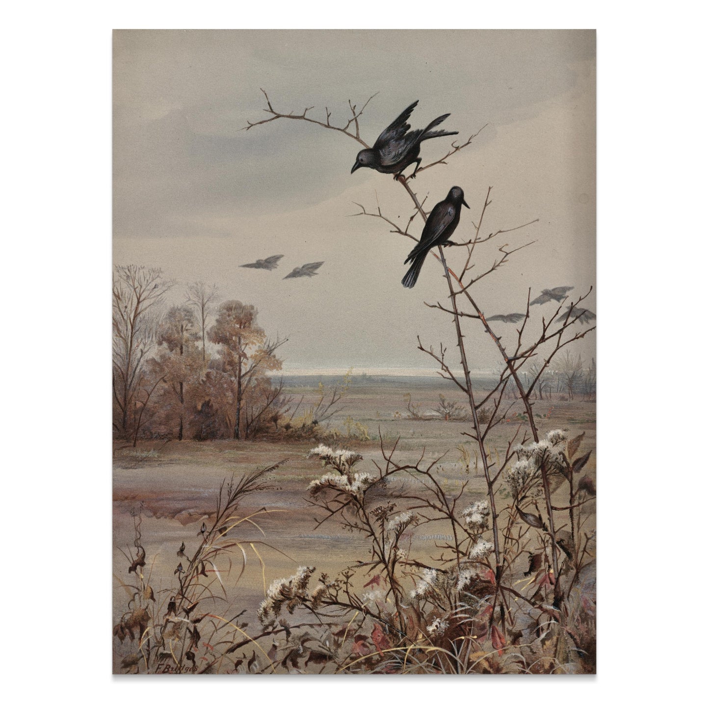 Premium Poster of Peaceful Autumn Landscape Scene with Birds Posters