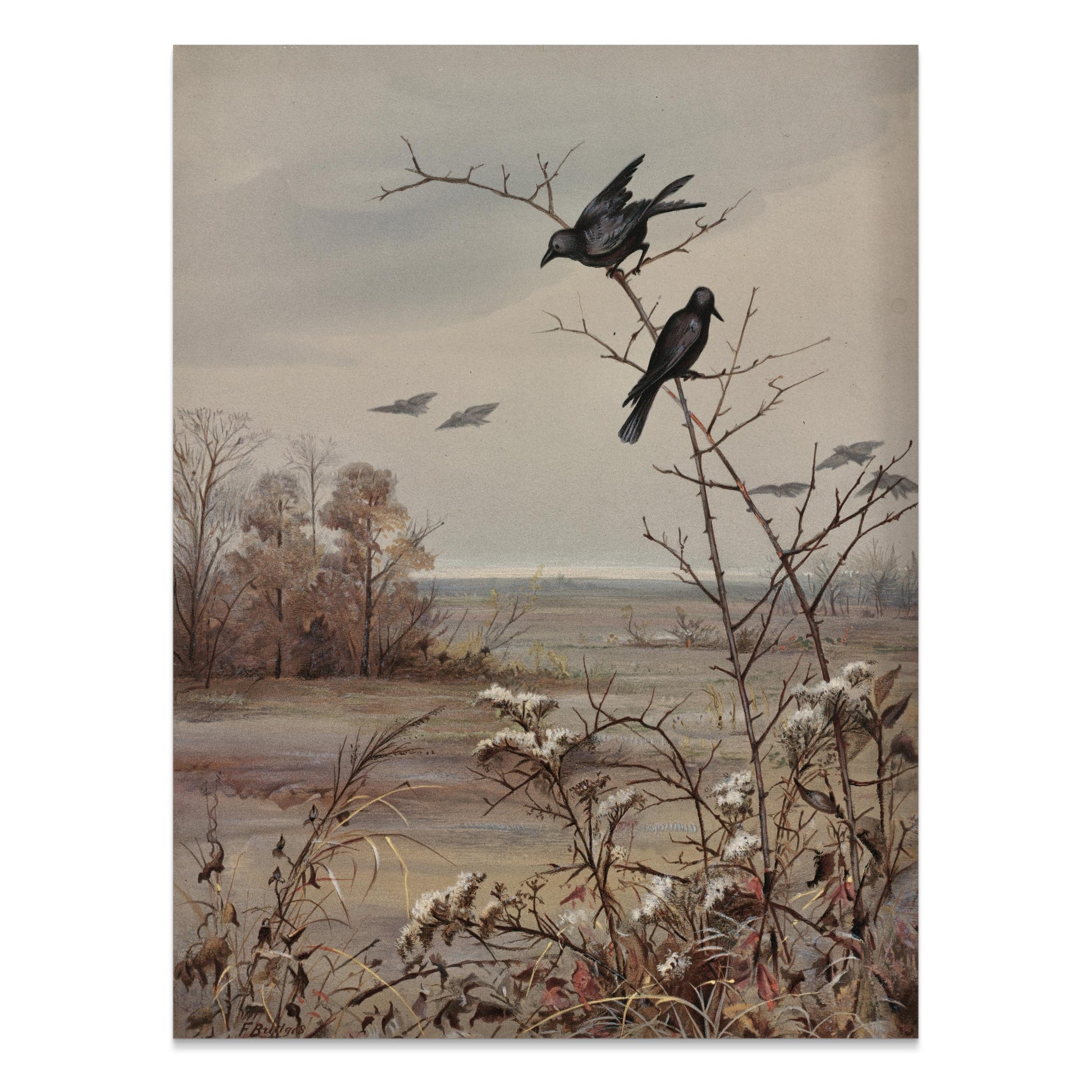 Premium Poster of Peaceful Autumn Landscape Scene with Birds Posters