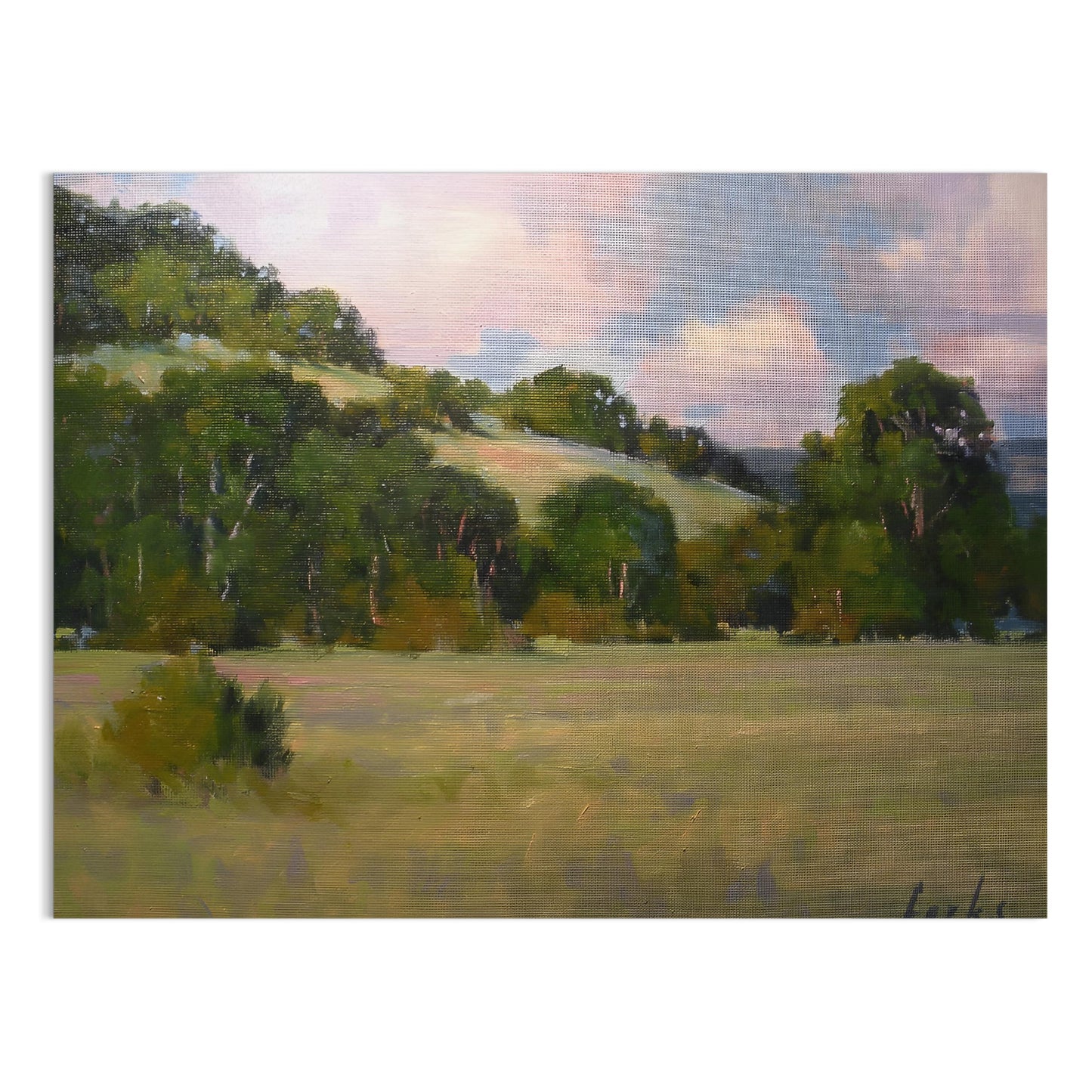 Premium Poster of Peaceful Landscape with Rolling Hills and Trees Posters
