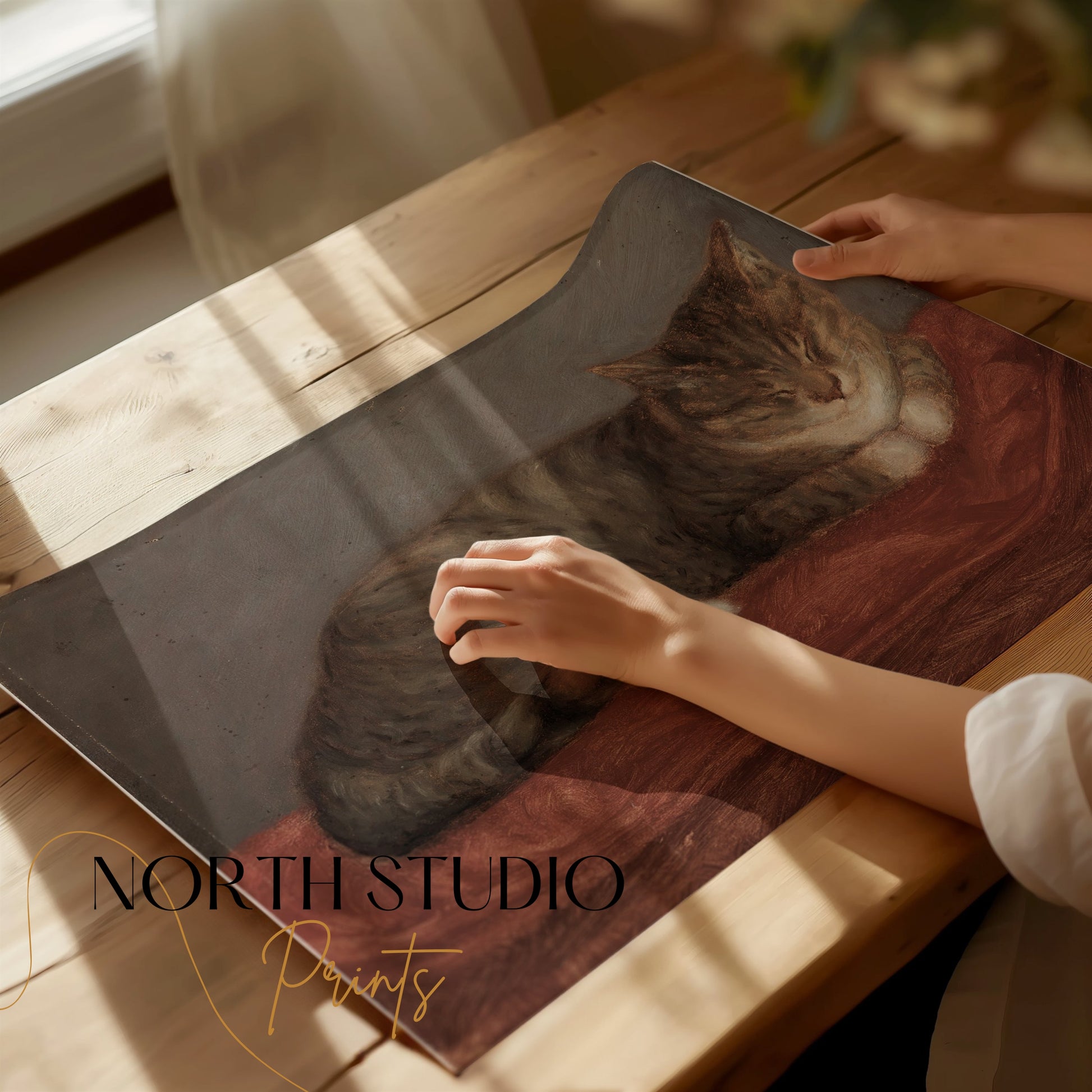 Premium Poster of Peaceful Sleeping Cat on Red Blanket Posters