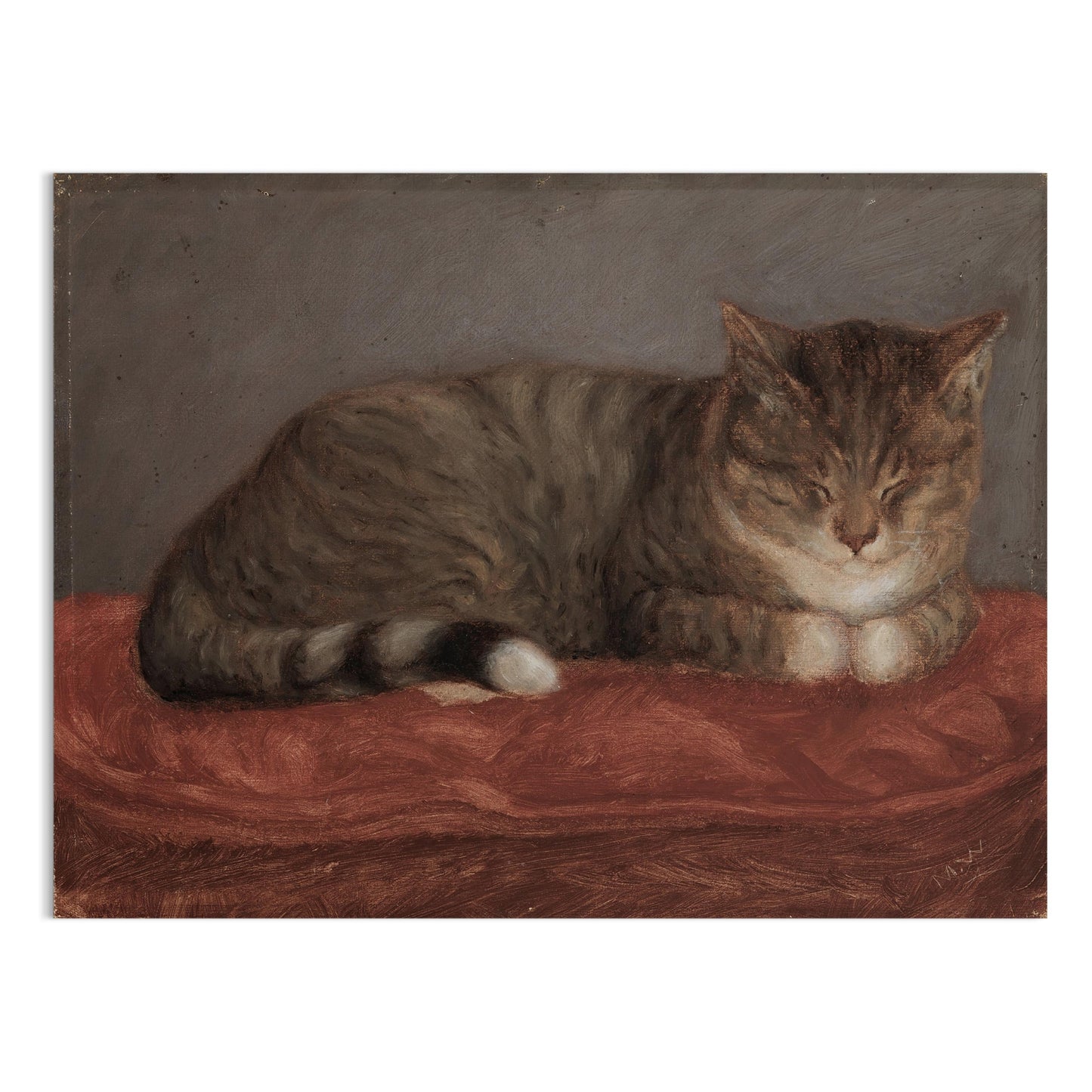 Premium Poster of Peaceful Sleeping Cat on Red Blanket Posters