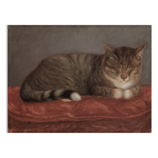 Premium Poster of Peaceful Sleeping Cat on Red Blanket Posters