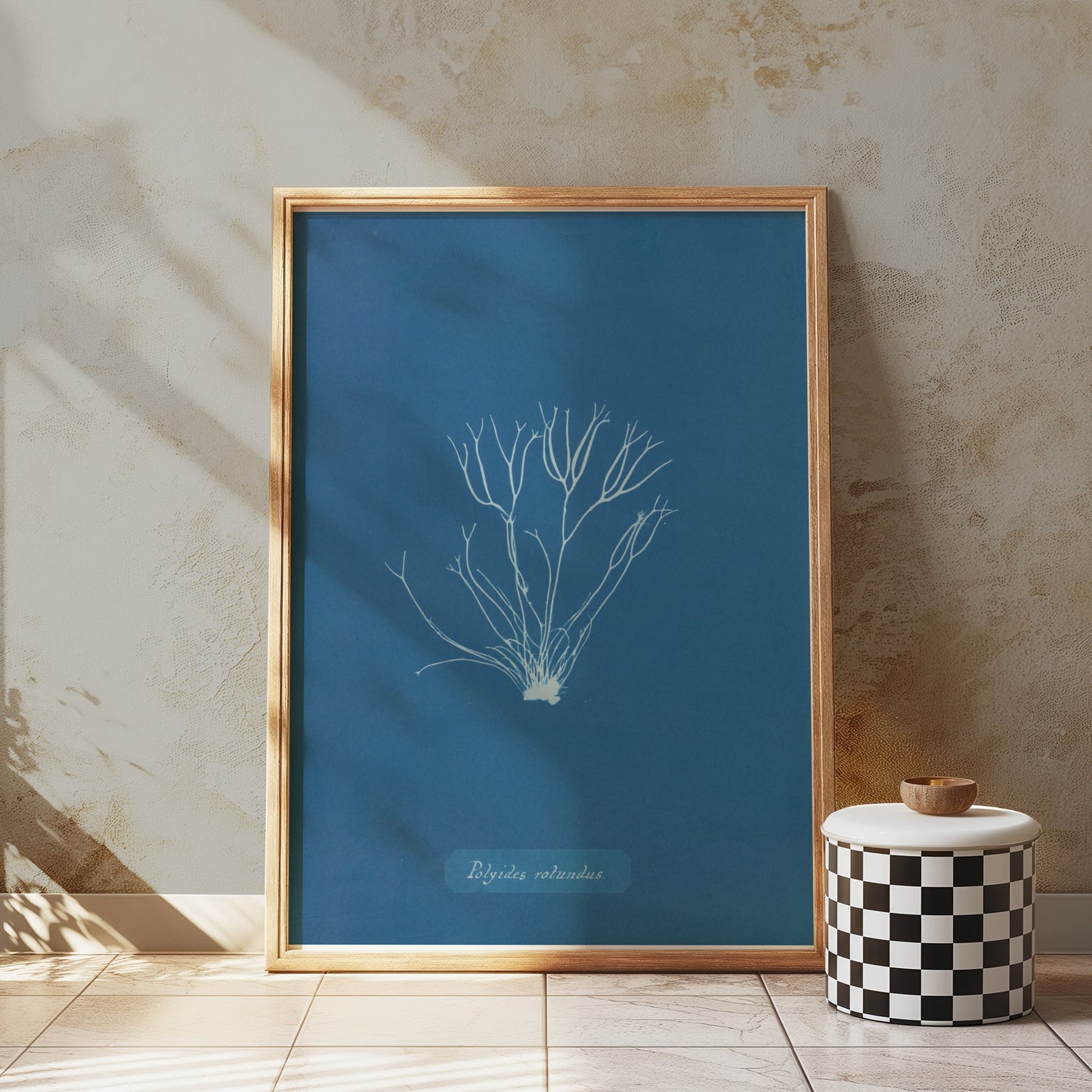 Premium Poster of Polysiphonia Cyanotype Printed Wall Art Botanical Posters