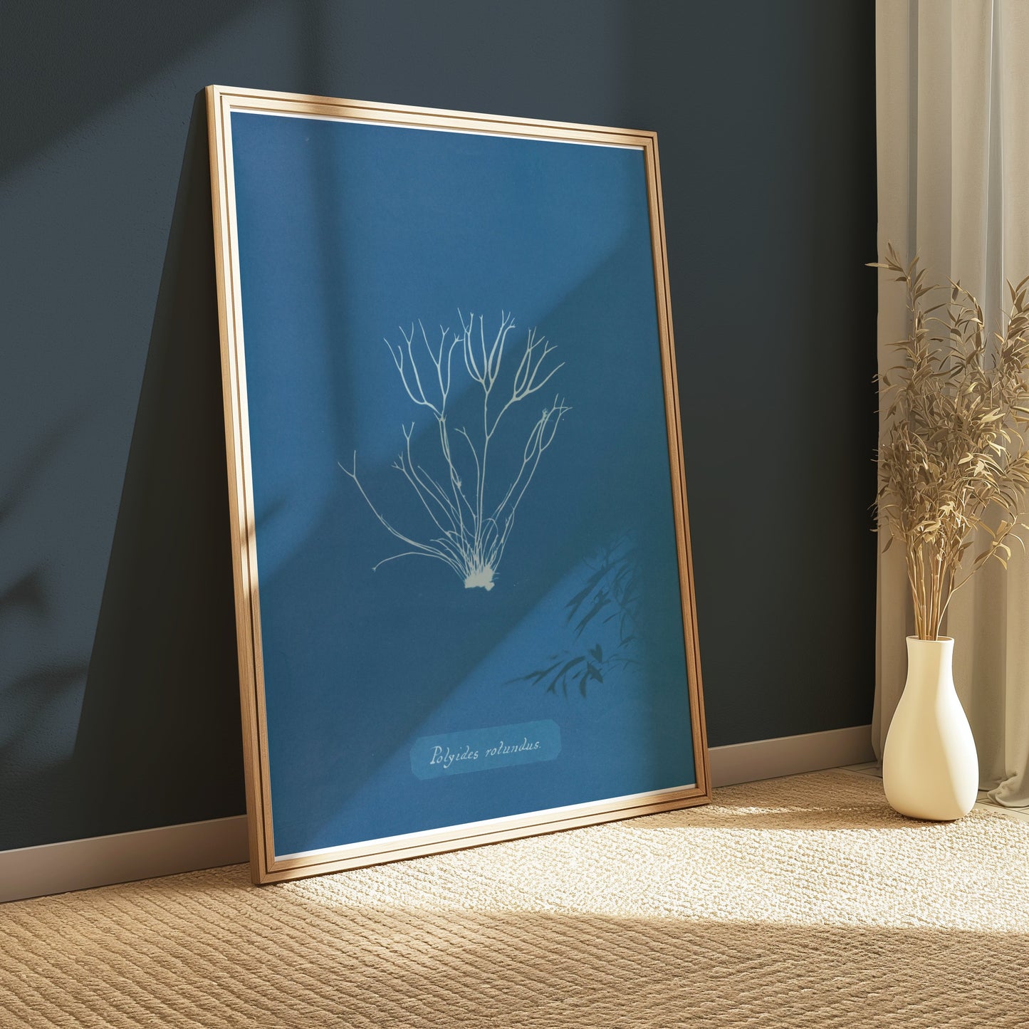 Premium Poster of Polysiphonia Cyanotype Printed Wall Art Botanical Posters
