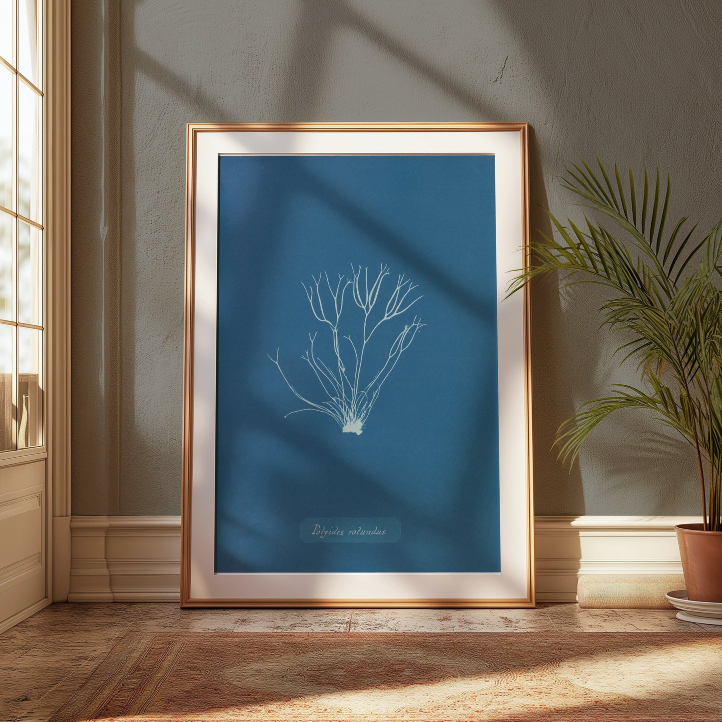 Premium Poster of Polysiphonia Cyanotype Printed Wall Art Botanical Posters
