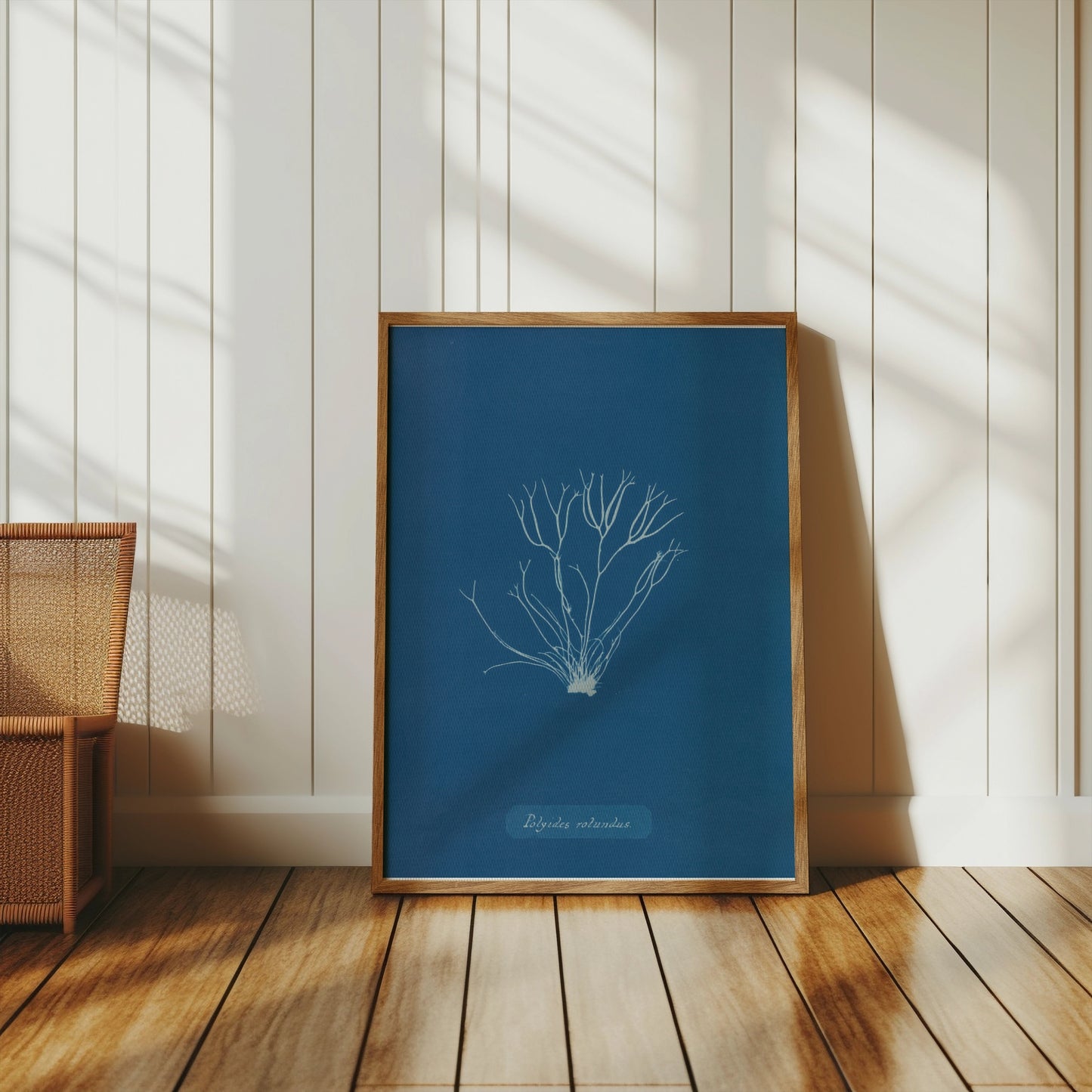Premium Poster of Polysiphonia Cyanotype Printed Wall Art Botanical Posters