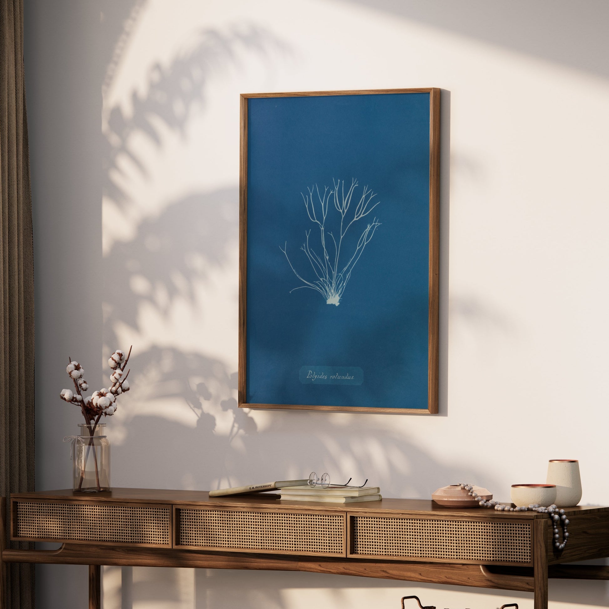 Premium Poster of Polysiphonia Cyanotype Printed Wall Art Botanical Posters