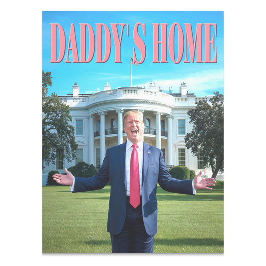 President Donald Trump Daddy's Home poster featuring a vibrant image of Trump in front of the White House with bold pink text, perfect for political satire decor.