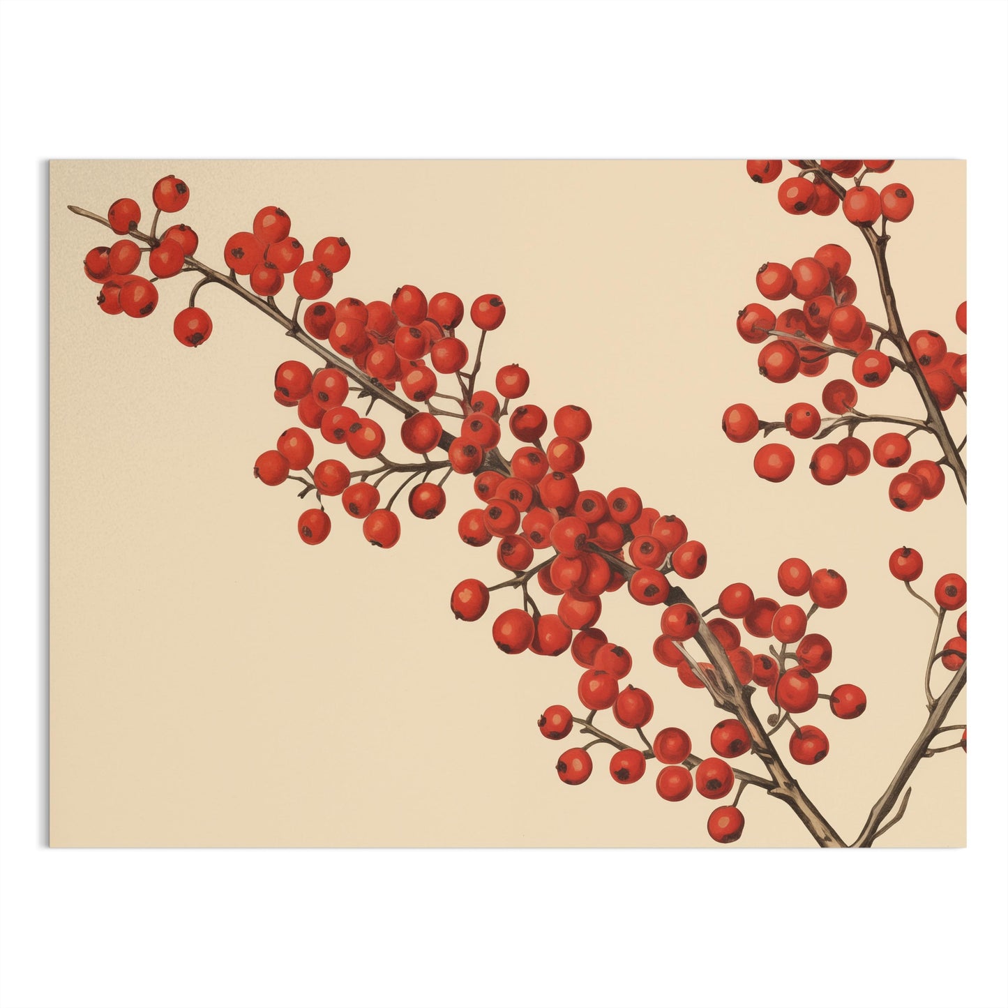 Premium Poster of Red Berries Branches Illustration Art Print Posters