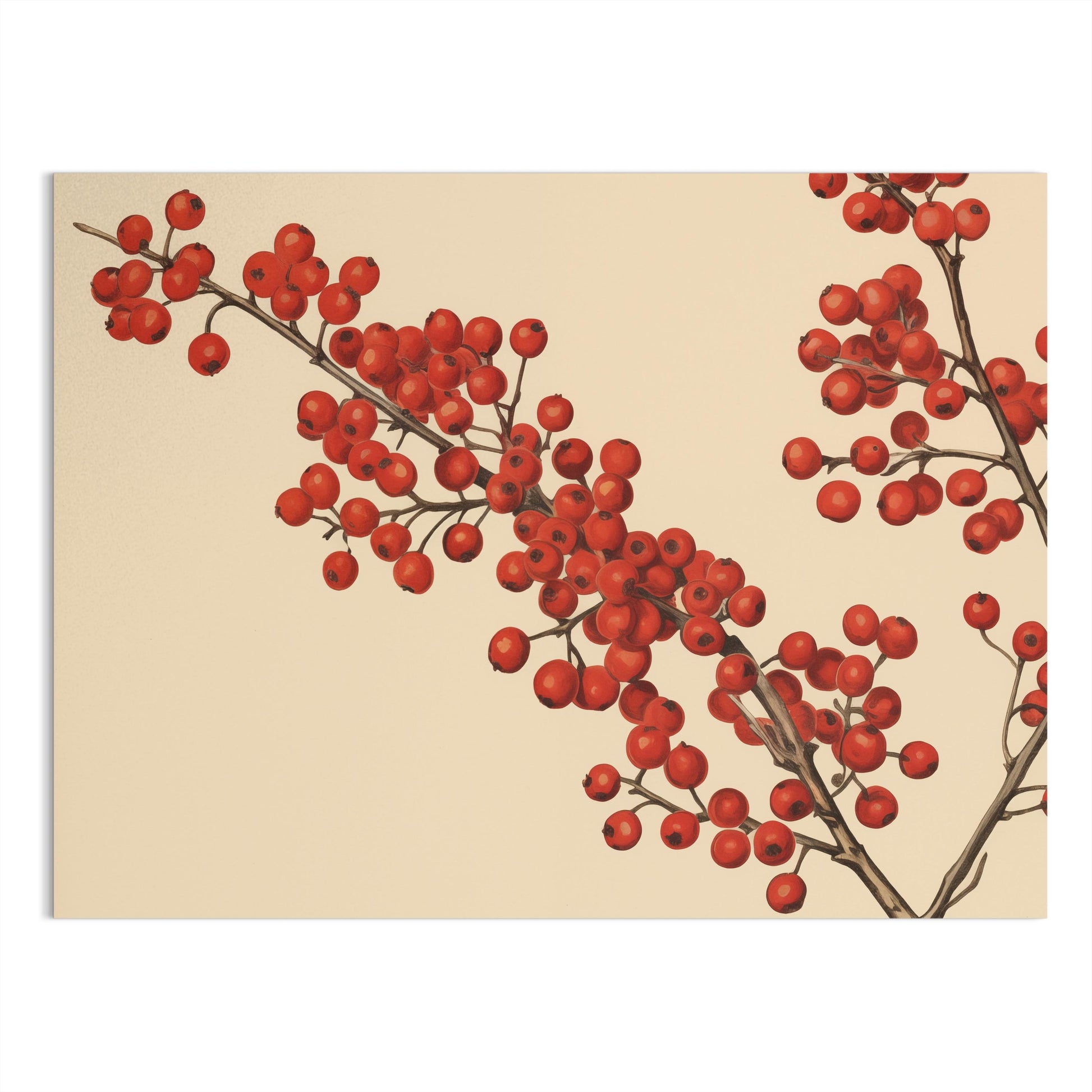 Premium Poster of Red Berries Branches Illustration Art Print Posters