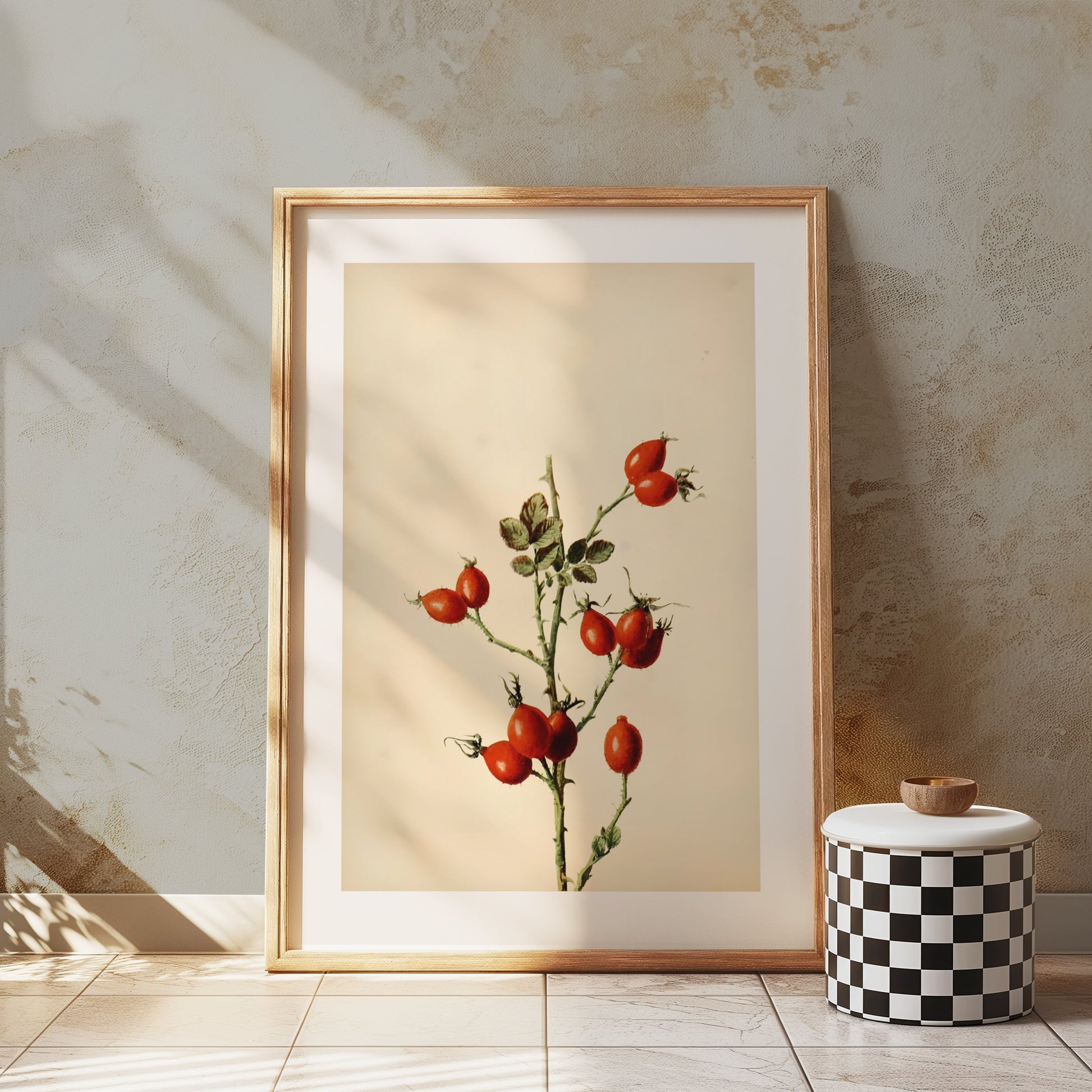 Premium Poster of Retro Botanical Display of Wild Rose Hip Posters