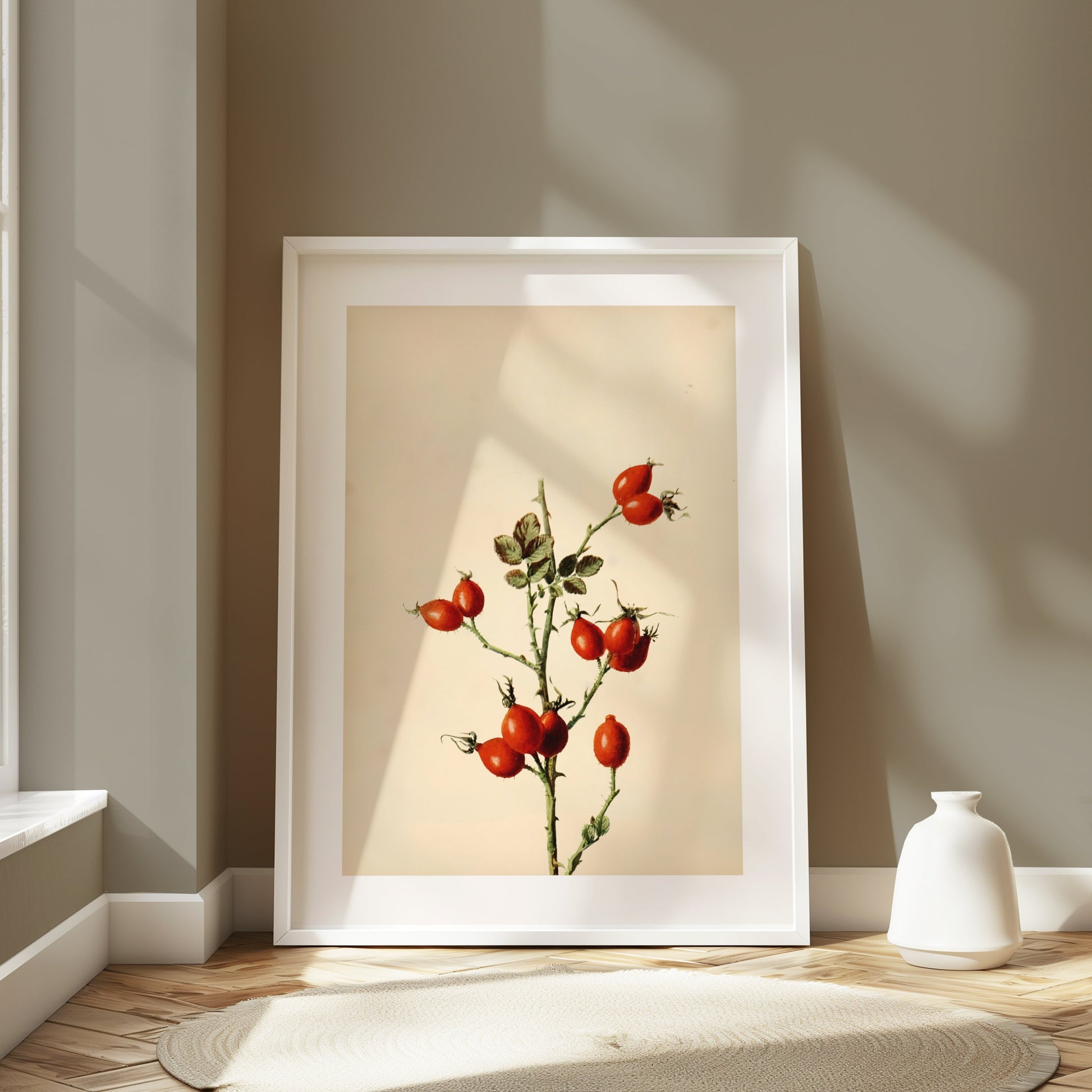 Premium Poster of Retro Botanical Display of Wild Rose Hip Posters
