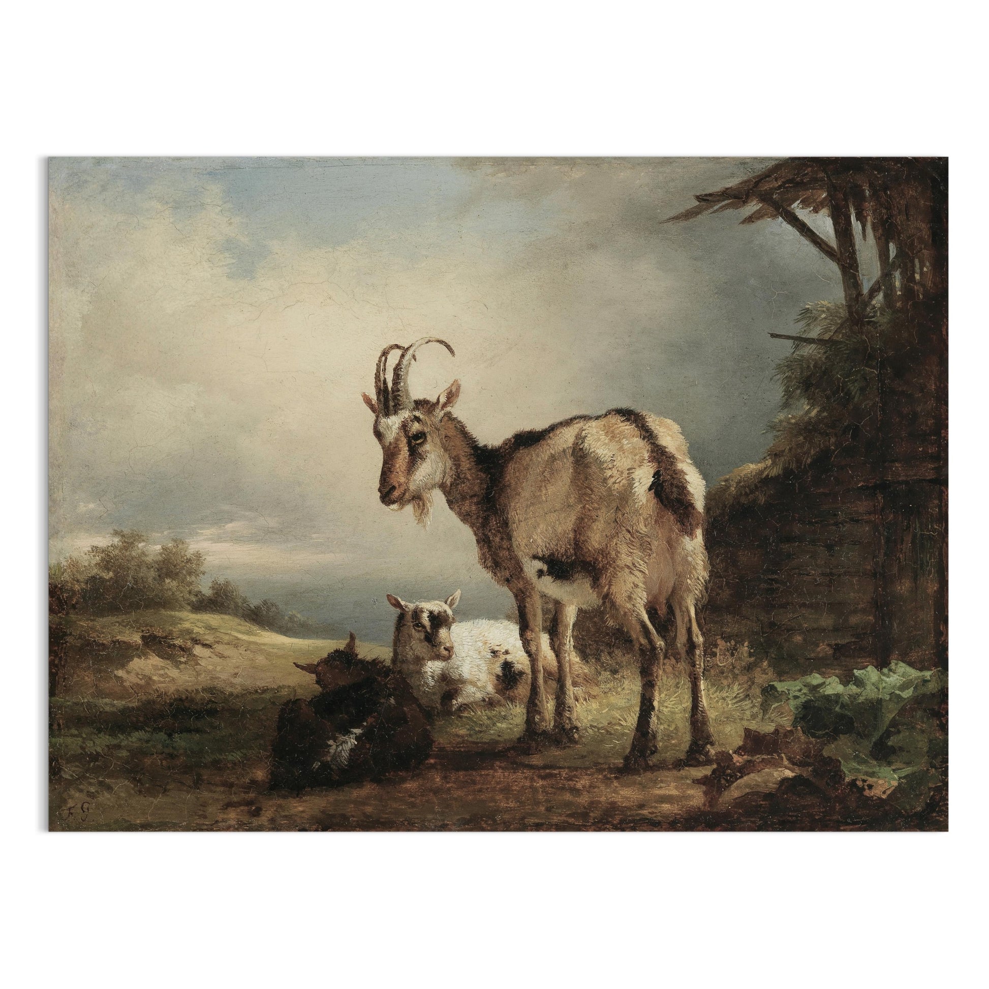 Premium Poster of Rustic Goats in Countryside Landscape Art Posters