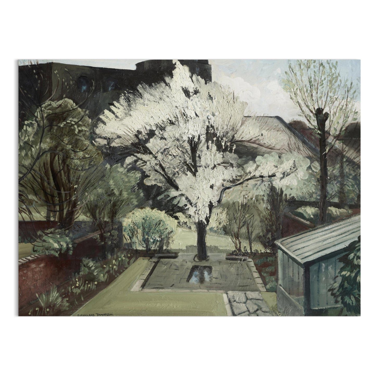 Premium Poster of Serene Backyard Blooming Tree in Springtime Art Posters