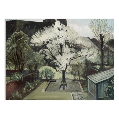 Premium Poster of Serene Backyard Blooming Tree in Springtime Art Posters