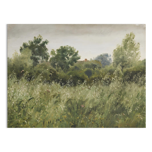 Premium Poster of Serene Countryside Landscape Botanical Wall Print Posters