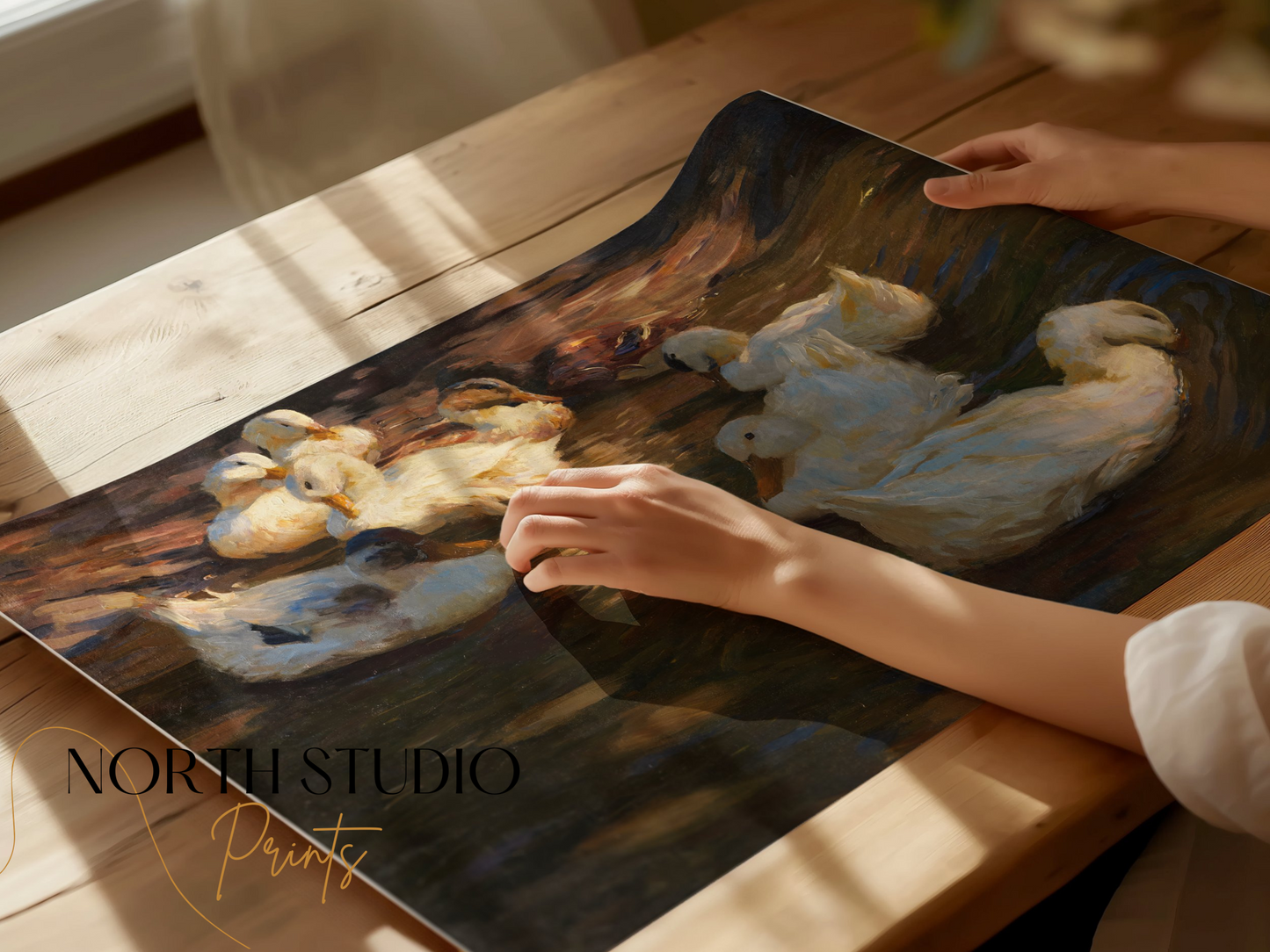Premium Poster of Serene Ducks Floating Peacefully at Dusk Art Posters