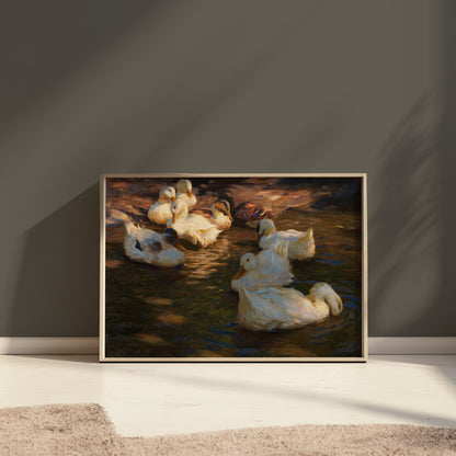 Premium Poster of Serene Ducks Floating Peacefully at Dusk Art Posters