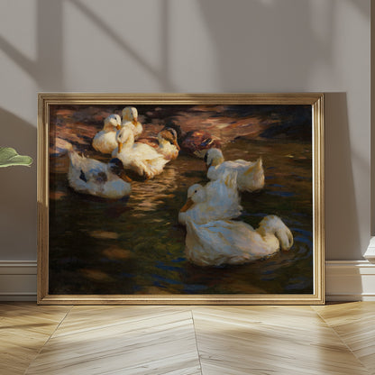 Premium Poster of Serene Ducks Floating Peacefully at Dusk Art Posters