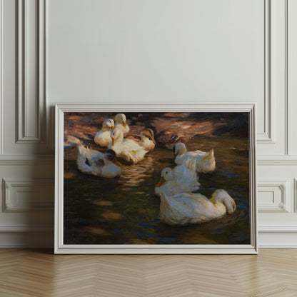 Premium Poster of Serene Ducks Floating Peacefully at Dusk Art Posters
