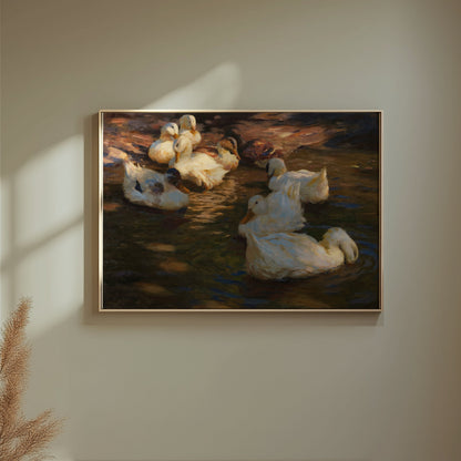 Premium Poster of Serene Ducks Floating Peacefully at Dusk Art Posters
