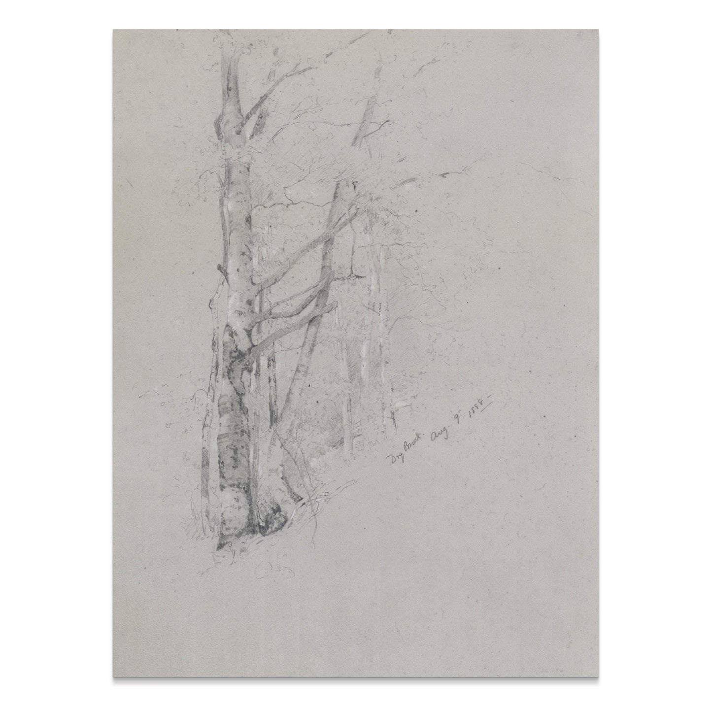 Premium Poster of Serene Forest Sketch Art Print for Home Decor Posters