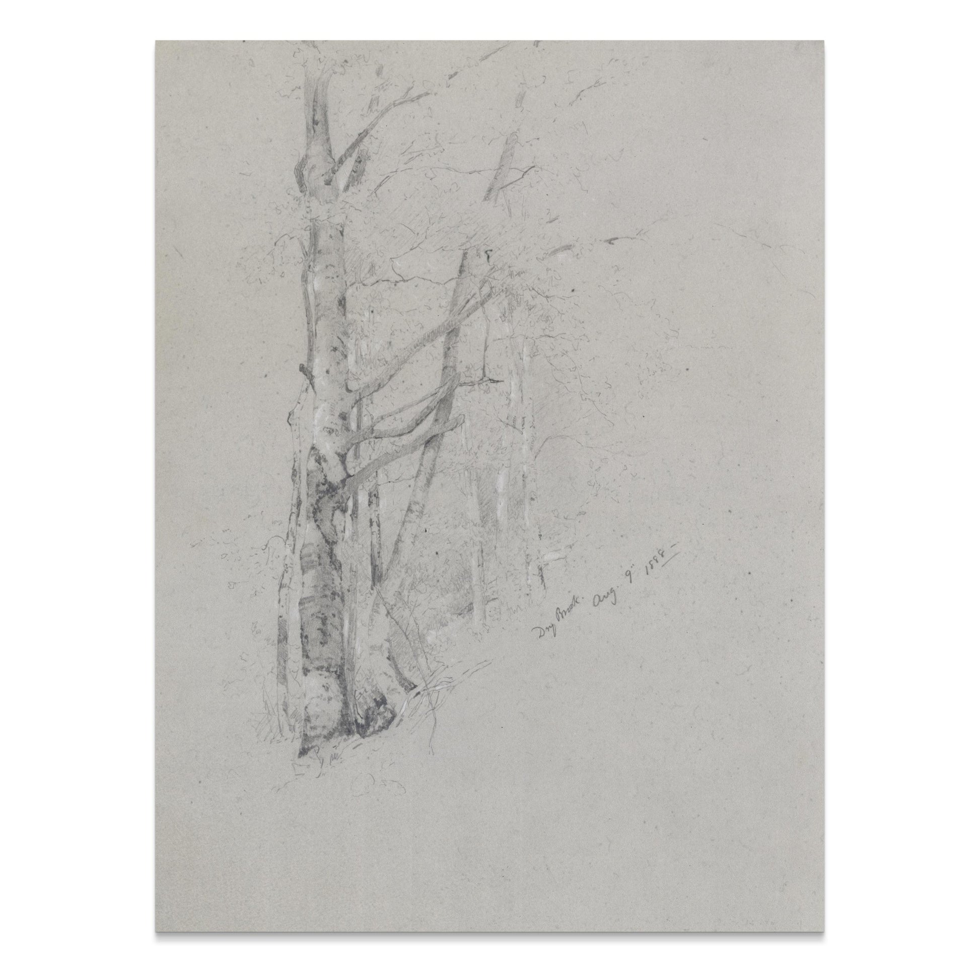 Premium Poster of Serene Forest Sketch Art Print for Home Decor Posters