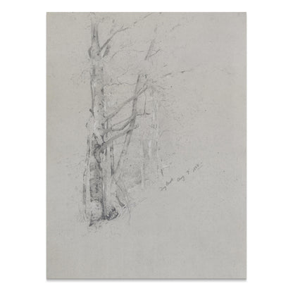Premium Poster of Serene Forest Sketch Art Print for Home Decor Posters