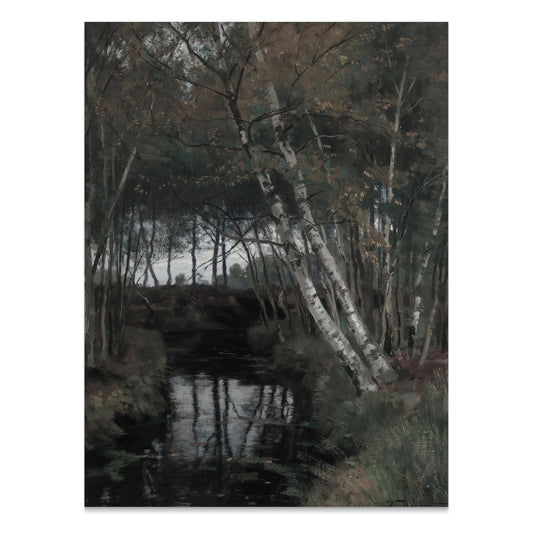 Premium Poster of Serene Forest Stream with Birch Trees Posters