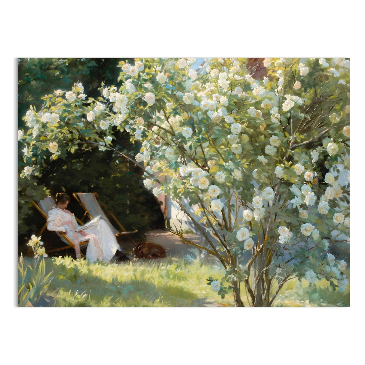 Premium Poster of Serene Garden View with Blossoming Tree Posters