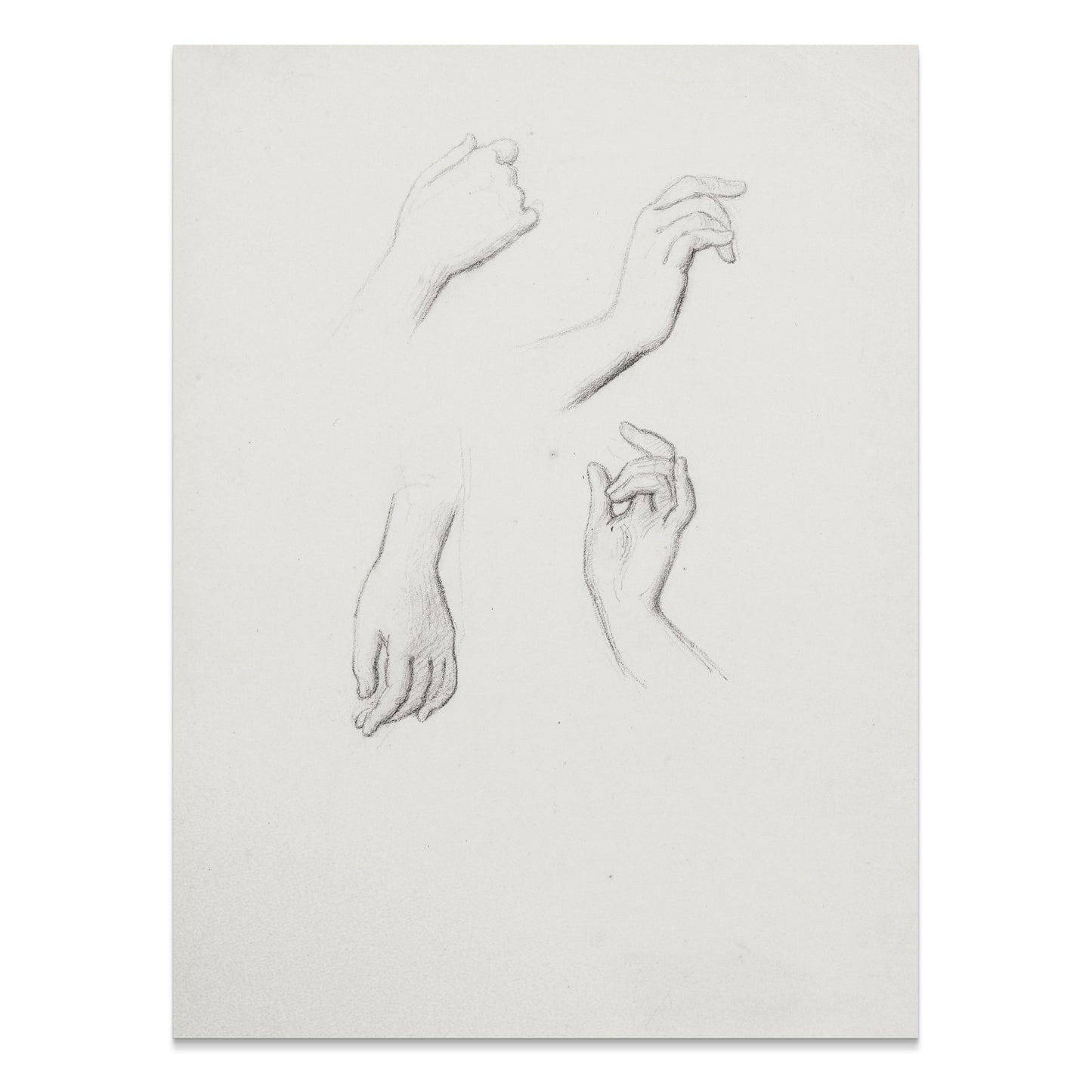 Premium Poster of Sketch Art Posters Featuring Hand Drawings Collection Posters