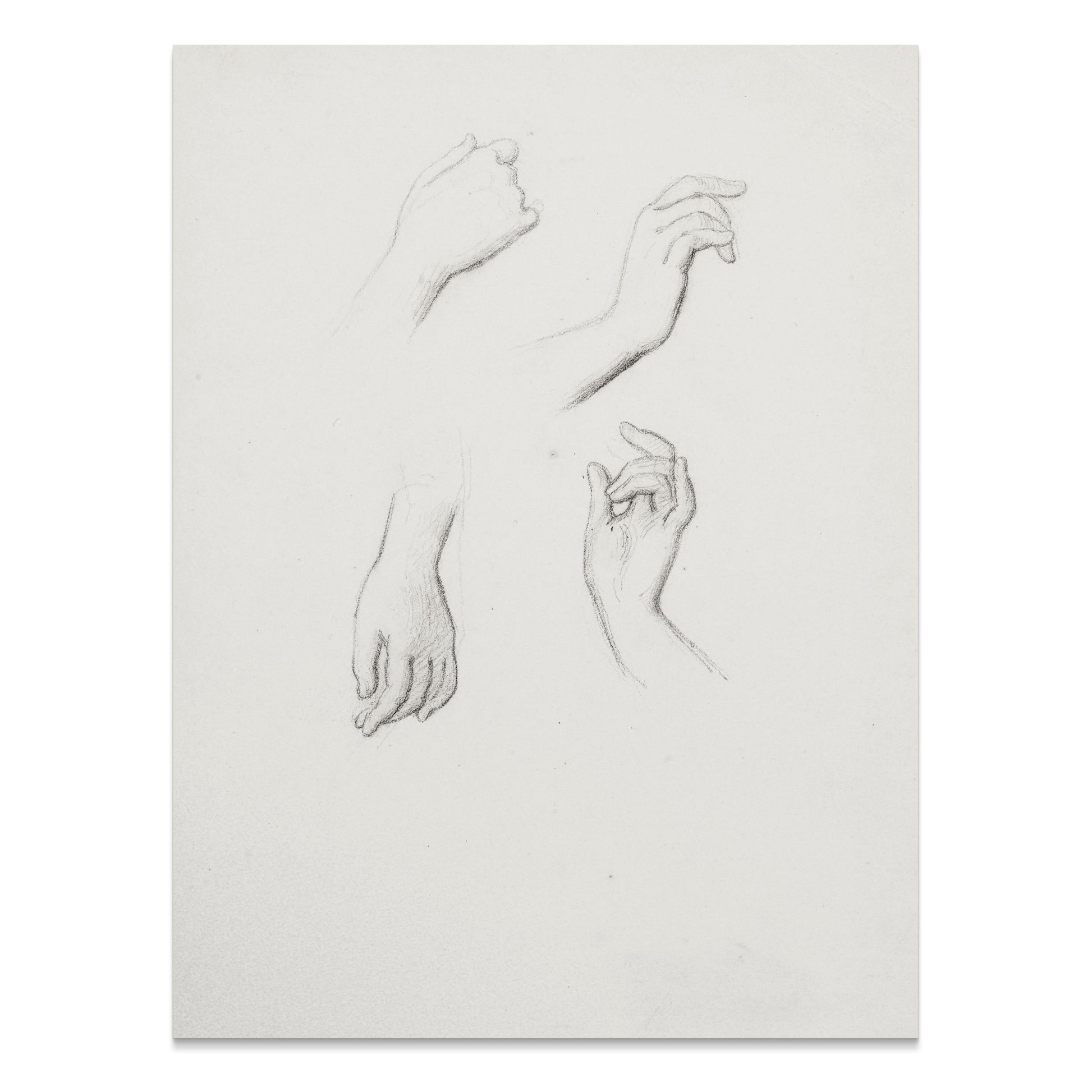 Premium Poster of Sketch Art Posters Featuring Hand Drawings Collection Posters