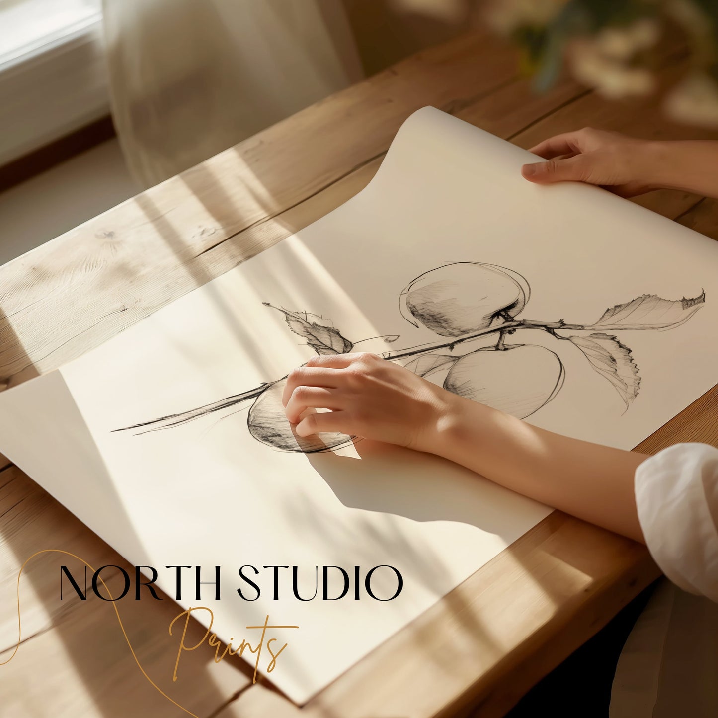 Premium Poster of Sketch of Apples on a Branch Artistic Wall Posters
