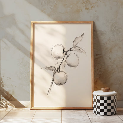 Premium Poster of Sketch of Apples on a Branch Artistic Wall Posters