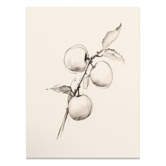 Premium Poster of Sketch of Apples on a Branch Artistic Wall Posters