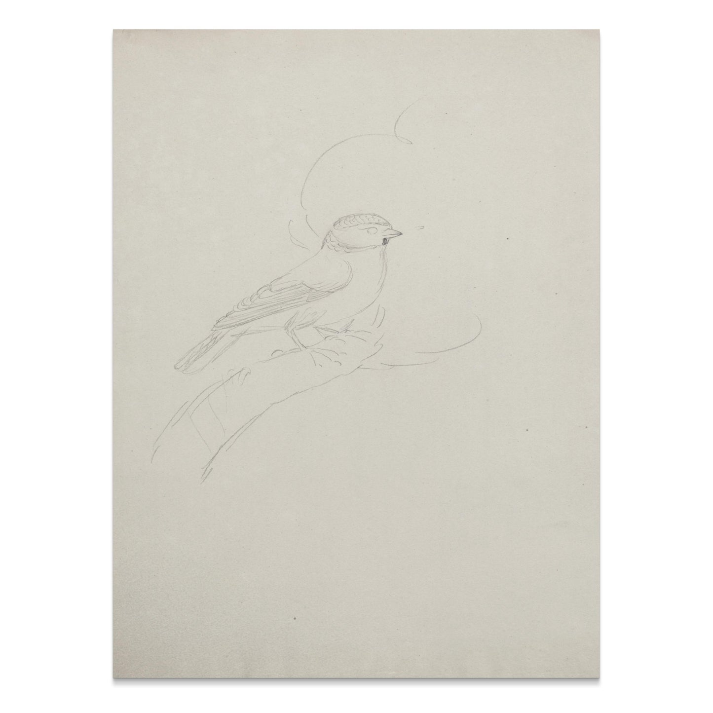 Premium Poster of Sketch of Bird on Branch Minimalist Artwork Posters