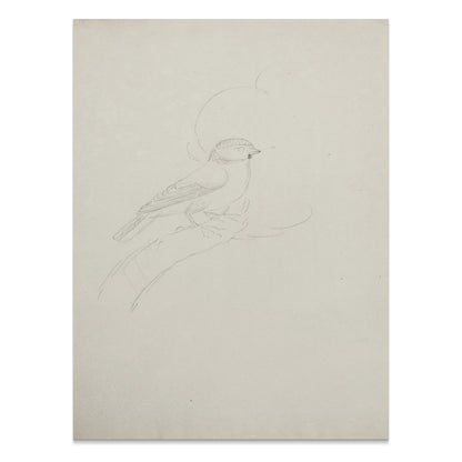 Premium Poster of Sketch of Bird on Branch Minimalist Artwork Posters
