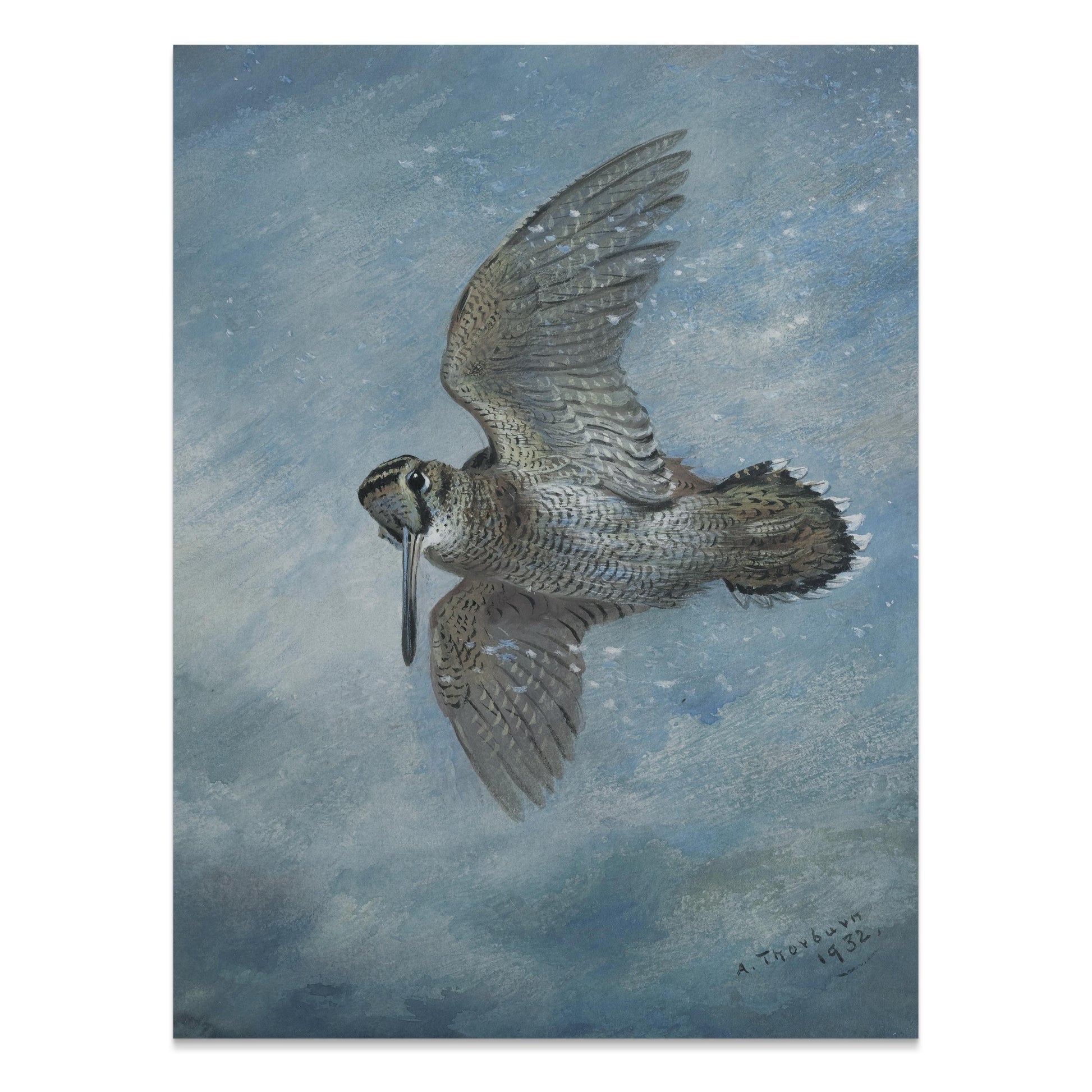 Premium Poster of Soaring Bird Depiction in Blue Sky Art Print Posters