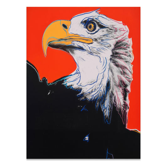 Premium Poster of Striking Bald Eagle Illustration Art for Home Posters
