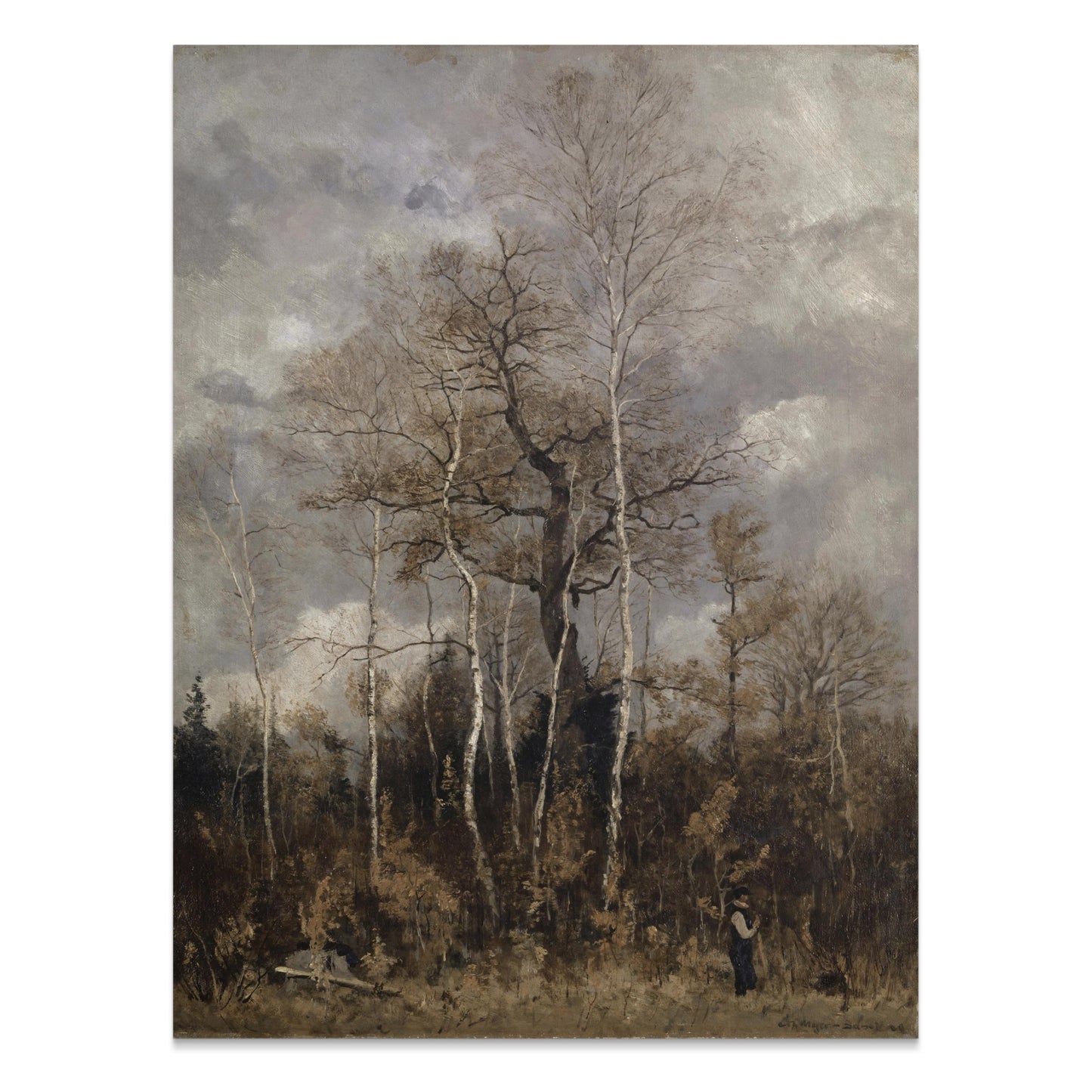 Premium Poster of Stunning Autumn Trees With Overcast Sky Art Posters