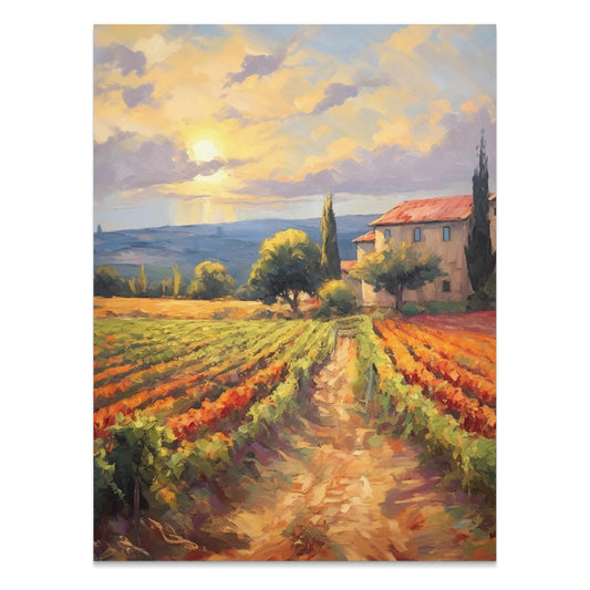 Premium Poster of Stunning Countryside Sunset with Vineyard Scene Posters