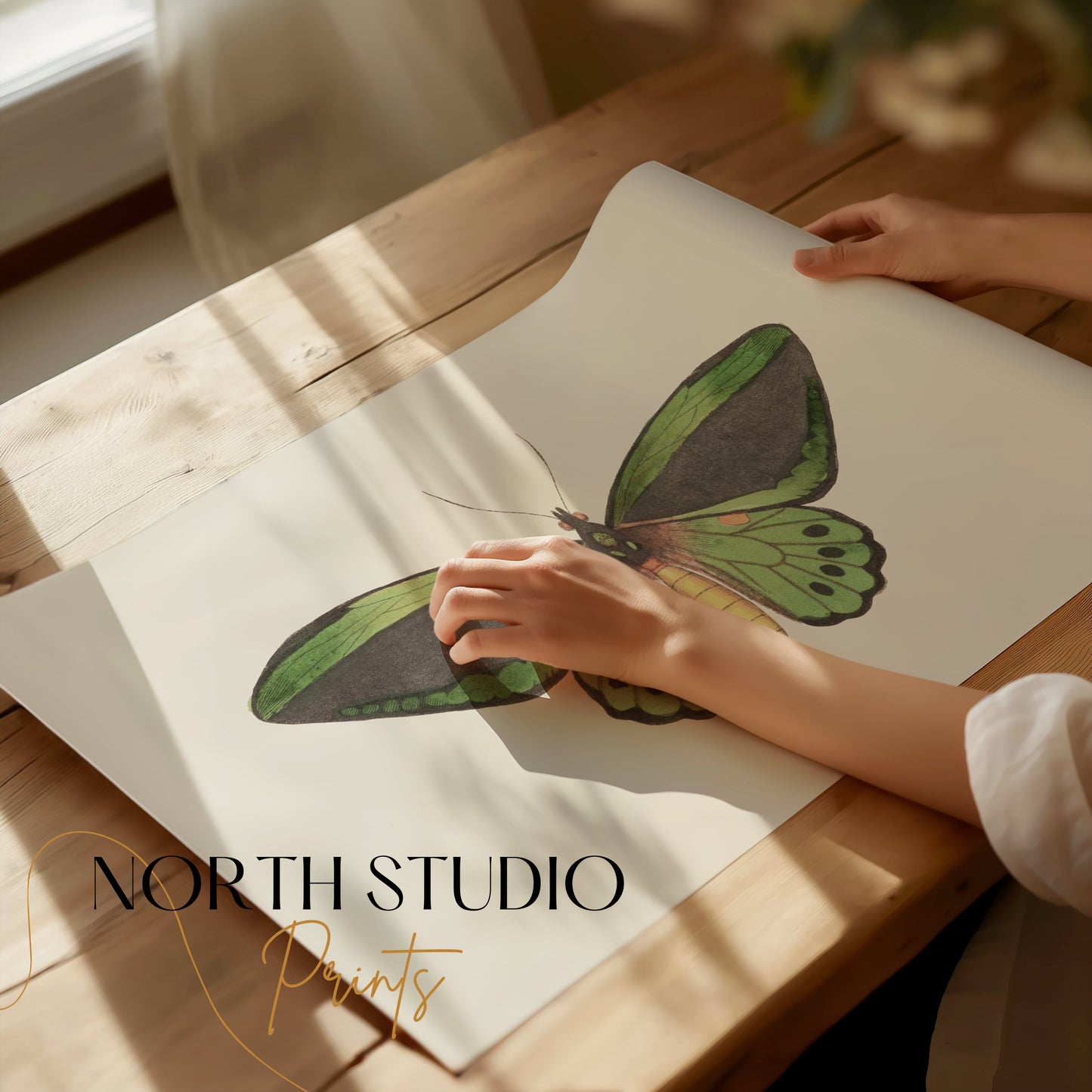 Premium Poster of Stunning Detailed Green Butterfly Illustration Posters