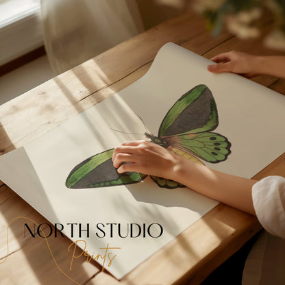 Premium Poster of Stunning Detailed Green Butterfly Illustration Posters