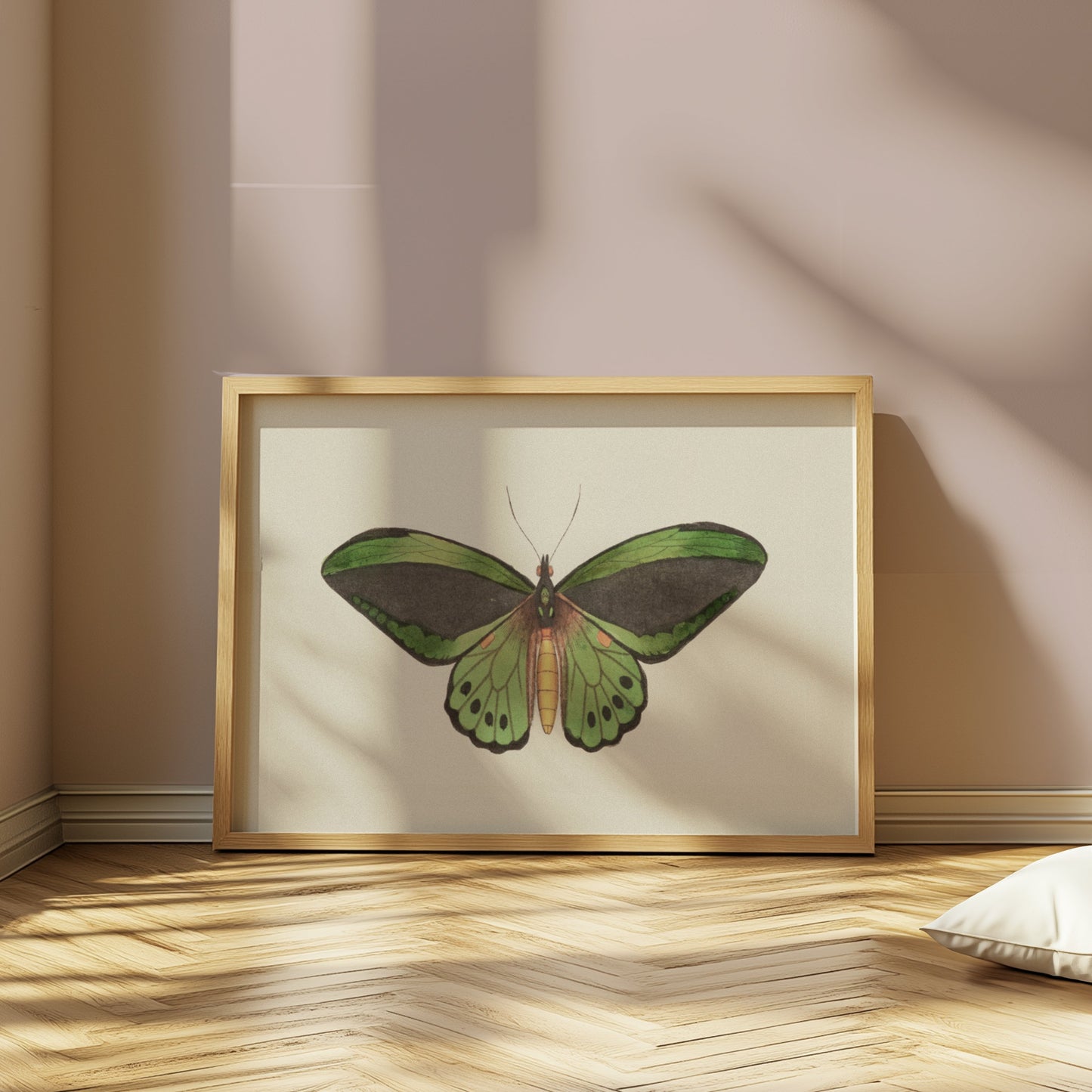 Premium Poster of Stunning Detailed Green Butterfly Illustration Posters