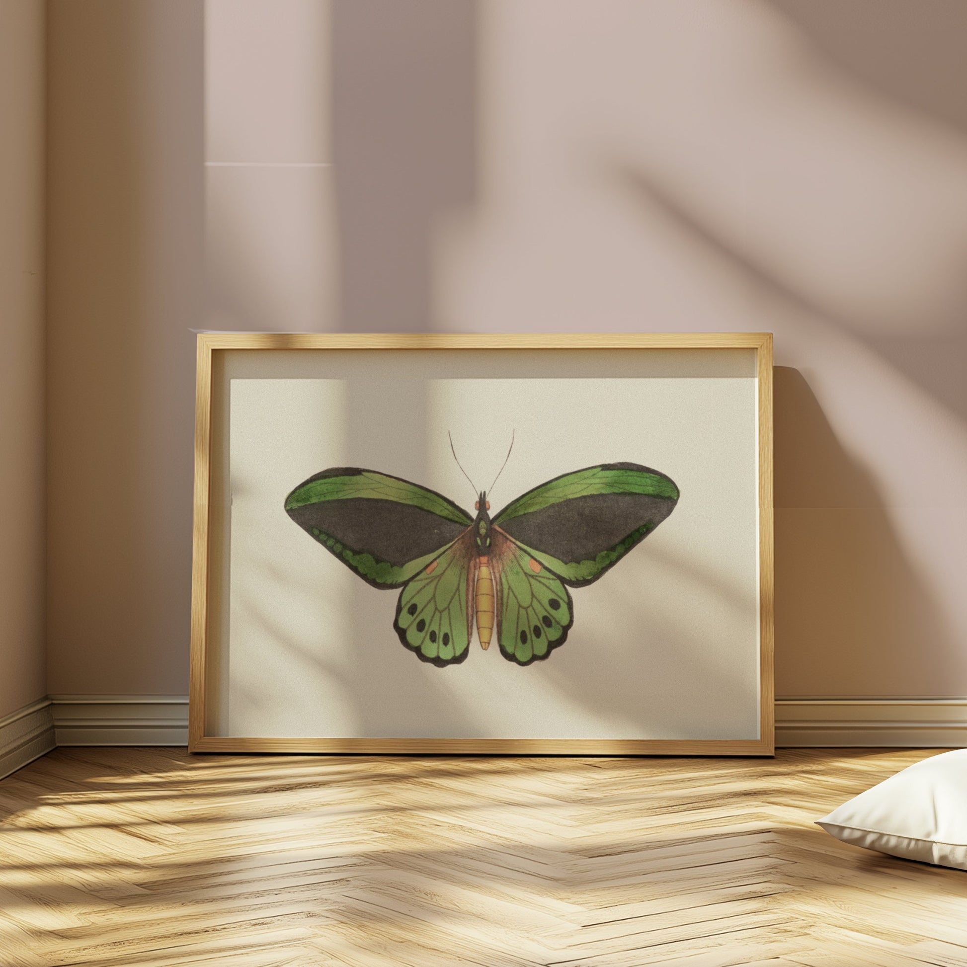 Premium Poster of Stunning Detailed Green Butterfly Illustration Posters