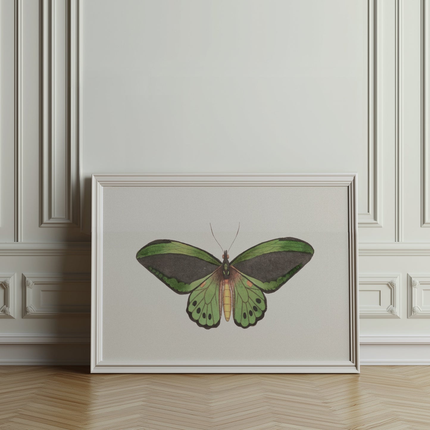 Premium Poster of Stunning Detailed Green Butterfly Illustration Posters