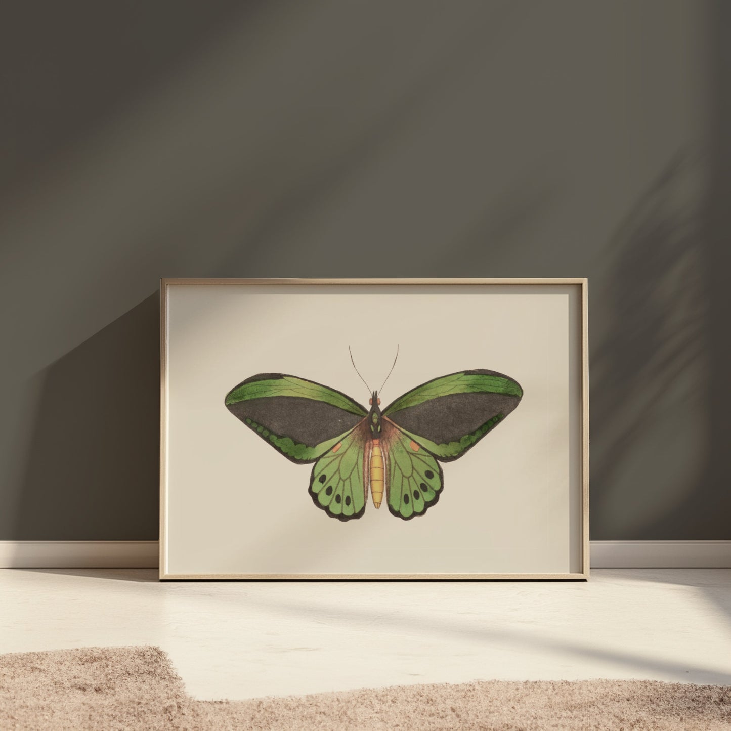 Premium Poster of Stunning Detailed Green Butterfly Illustration Posters